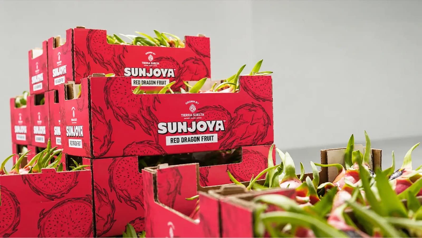 Stacked Tierra Suelta cartons of SUNJOYA red dragon fruit at the packhouse.